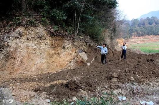 明年起,农村"三大工程"启动,三类农民准备好赚钱了!
