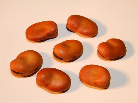 蚕豆病是什么病严重吗