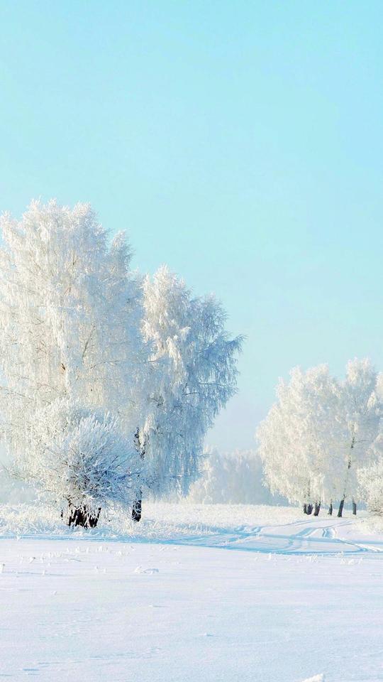 雪景壁纸竖屏高清唯美