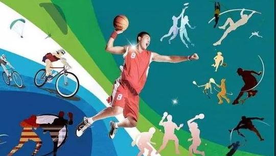 互联网体育健康猫触雷之败:留给了创业者什么警示?