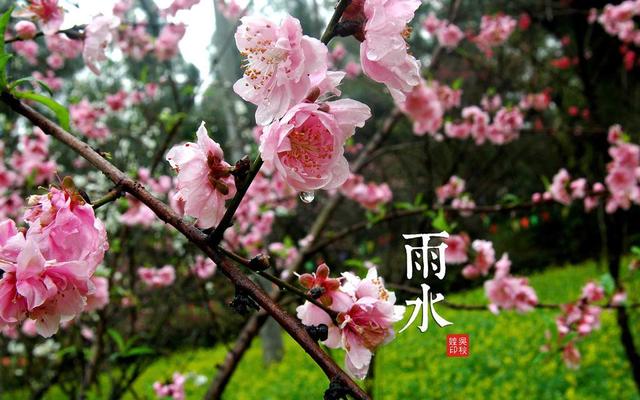 关于雨水节气的古诗词大全