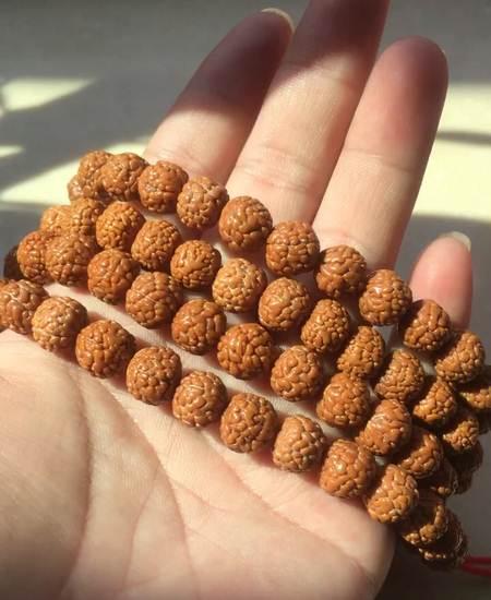龙鳞纹金刚菩提，玉化料