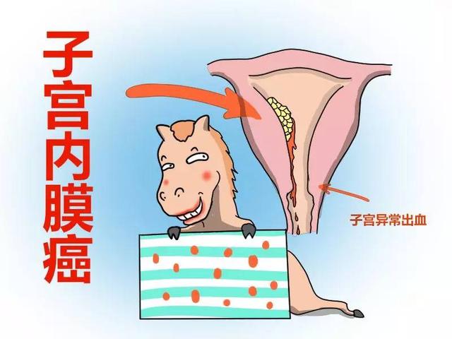 如何保养子宫内膜