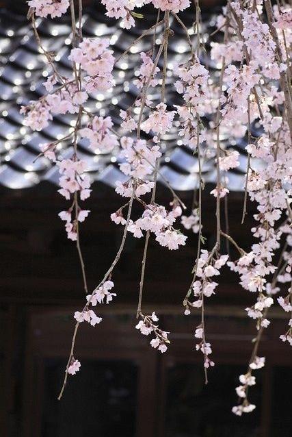 春有百花秋有月,夏有凉风冬有雪.