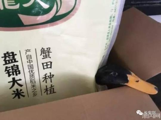 创业屡屡失败后竟尝试研制冰毒,只有初中学历的安徽小伙高天培(化名)