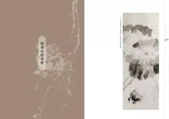 新书|《人美画谱》系列丛书,高清步骤+视频演示,中国