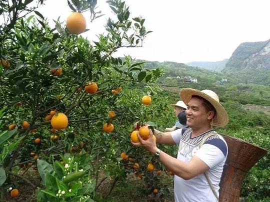 不当老板当农民二次创业奔富路--渔峡口镇玉峰农庄