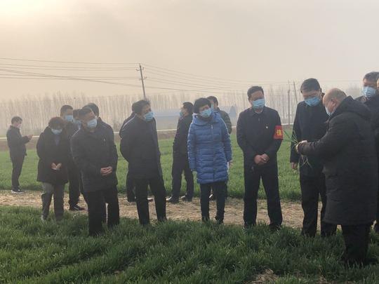 发挥优势勇担当凝心聚力战疫情河南省党外知识分子联谊会抗击疫情
