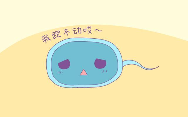 备孕期间饮食注意事项