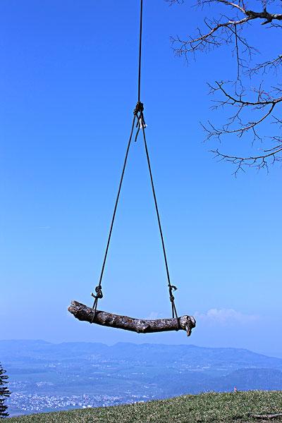 秋千_风景_图片大全—全景创意图库（quanjing.com）中国领先的正版图片视频素材网站