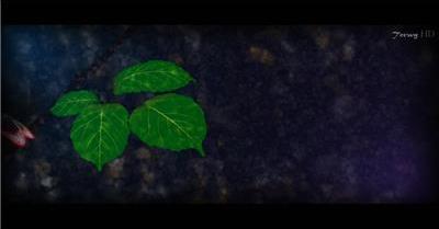 ae:绿叶蝴蝶动画文字标题模板ae文件ae素材免费下载14文字动画视频ae模板