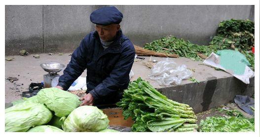 在农村，卖菜越来越不赚钱，是菜价高还是菜不好吃?