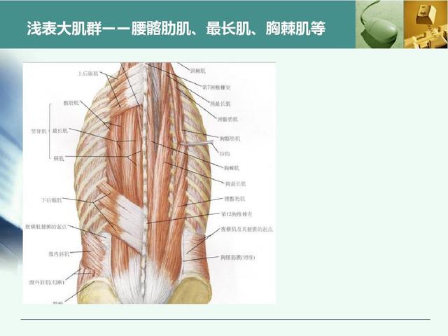 如何设置word文档中的主题格式