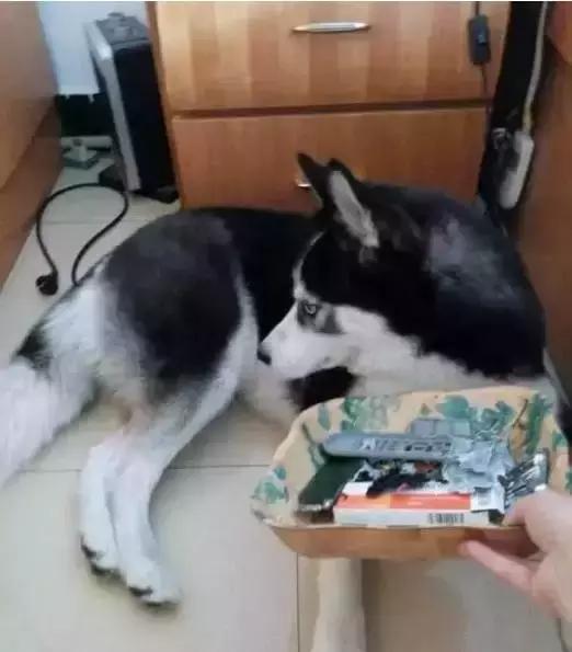 外面下雨了大家都不能出去玩了