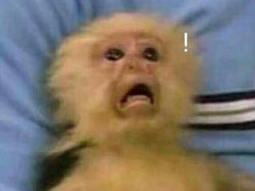 彼尔德金馆长表情包