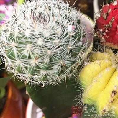 孩子烫伤后可以用酒精消毒吗