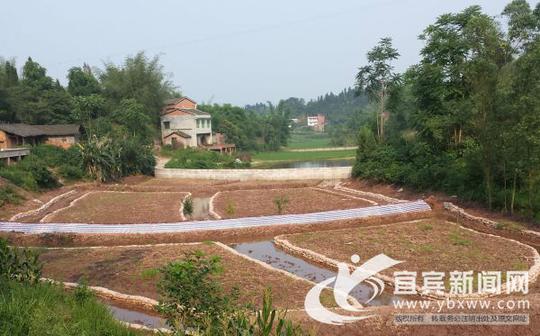 高店镇:自主创业小龙虾养殖托起致富路
