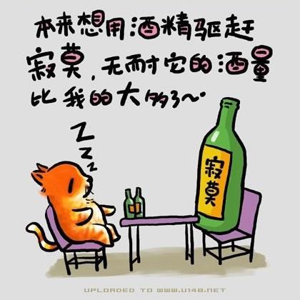 【猫の趣味哲学】一只猫咪的人生哲理