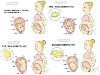7-9个月宝宝的身体发育特点