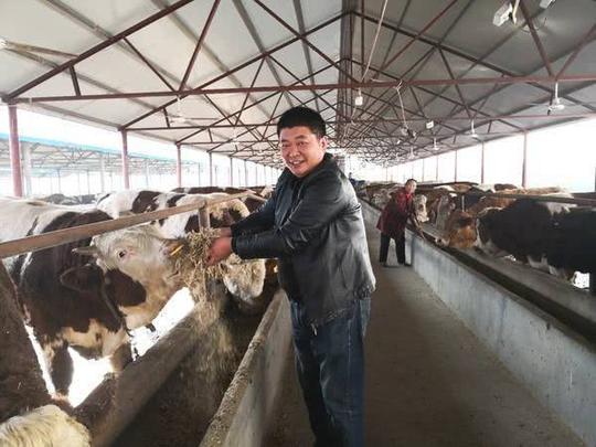 正阳养牛大咖返乡创业让贫困户一起牛起来
