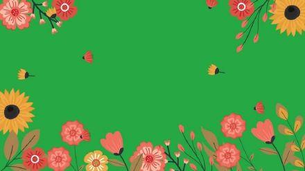 绿幕视频素材花朵边框
