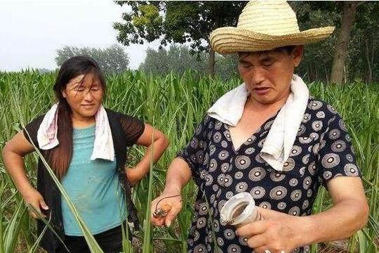 大衣哥朱之文近况,忙着张罗儿女亲事,村里年轻人靠直播他赚钱!