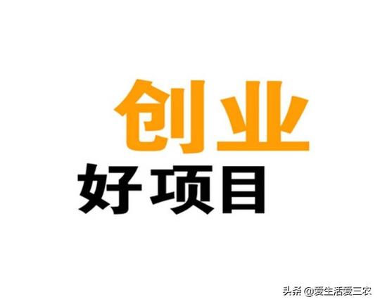 别跟风创业了，这些冷门项目更合适，建议收藏!