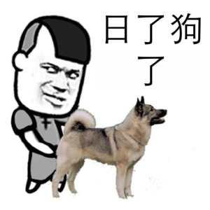 我真是日了狗了搞笑表情包