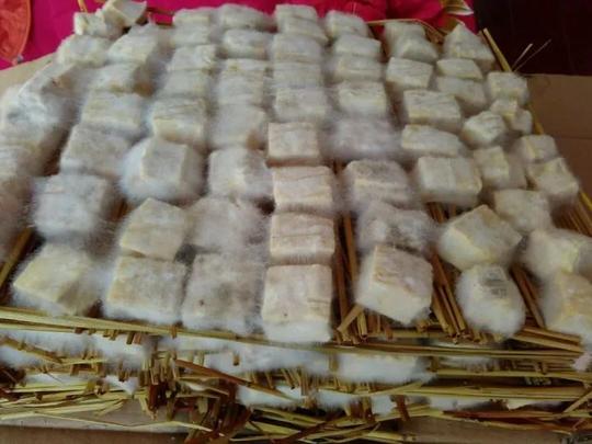 美食正文密封:记忆中很多年前制作豆腐乳,都是用稻草让豆腐发霉,一