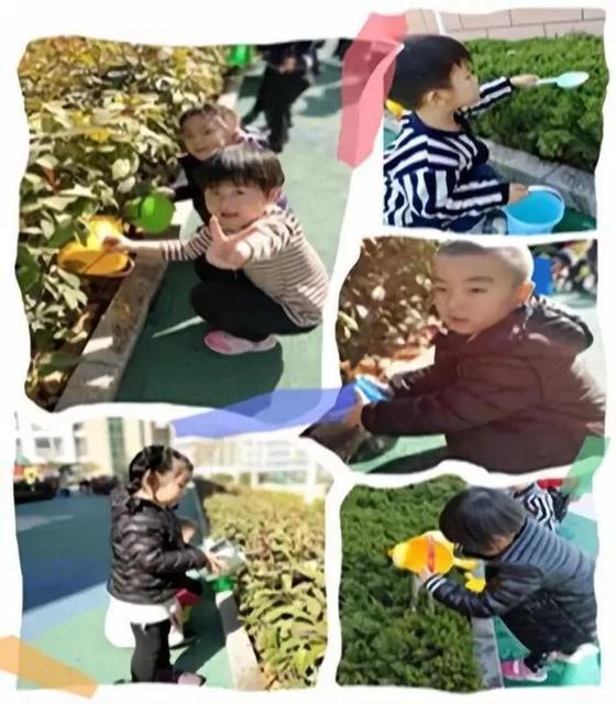 2019幼儿园植树节报道