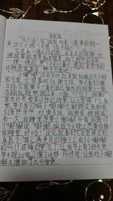 如何提高孩子阅读能力心得