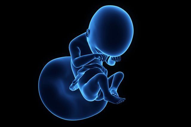 什么情况下会出现胚胎停育