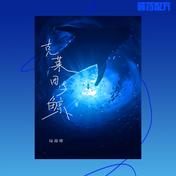 克莱因与鲸(杨瑜婷/音药配方)