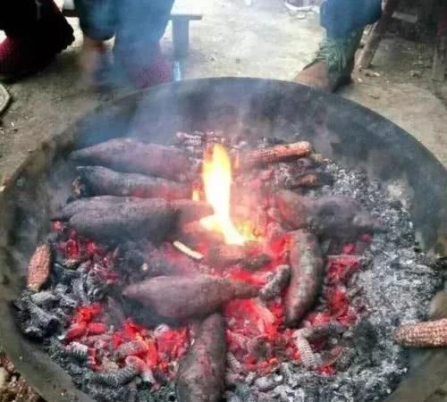 农村家家都有煤气，为什么还有留着土灶？听听老农怎么说的
