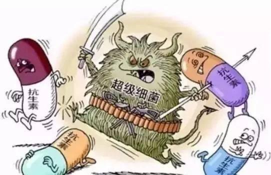 超级真菌是什么意思