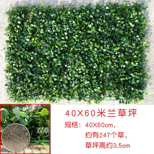 仿真尤加利草坪米兰草皮植物墙背景装饰薰衣草40x60金钱草塑料花