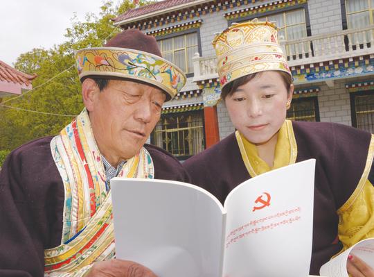 巴宜区开展"两学一做"教育活动_中国西藏林芝网