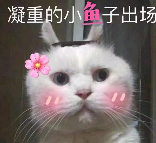 这个偏冷门的中单霸主,能控能奶还能打!