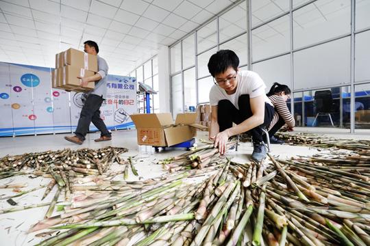 如今,不少乡村的大学生毕业后返乡创业,成立以销售农产品为主