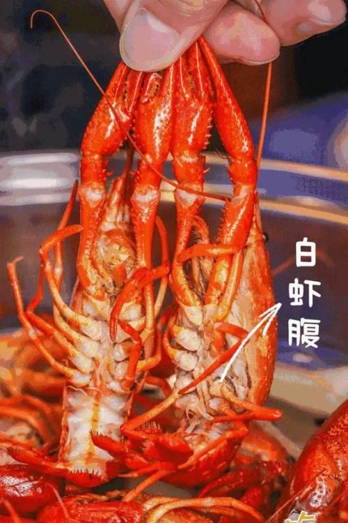 堕落虾加盟0加盟费，操作简单，开店轻松生意火爆