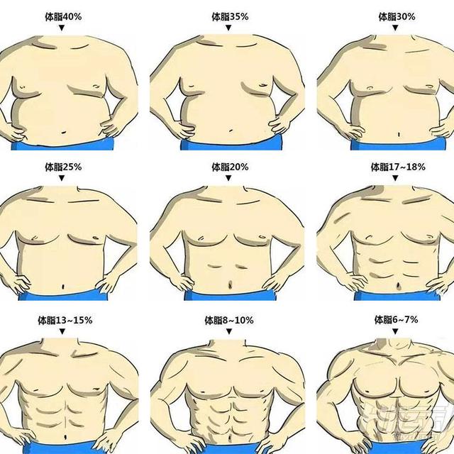 男性体脂率24 图片 头条搜索
