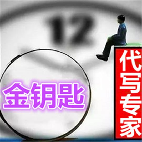 恩施代写项目盈利专项报告
