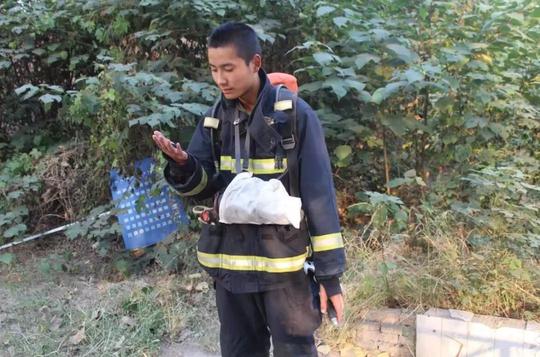 英雄,一路走好!周口郸城消防队员闫亚隆舍己救人英勇牺牲,致敬!
