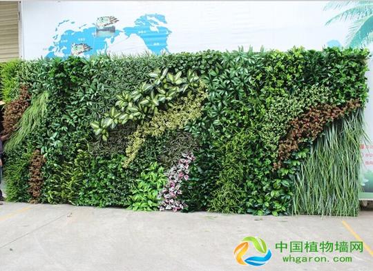 如网络公司,辅助设计开发团度,策划机构等植物墙边缘性的合作伙伴