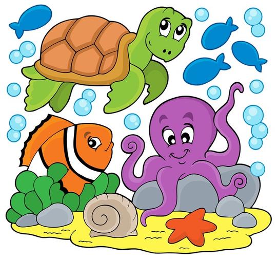海洋动物_图像_图片大全—全景创意图库（quanjing.com）中国领先的正版图片视频素材网站