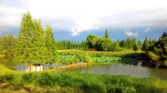 郧阳村乡建院