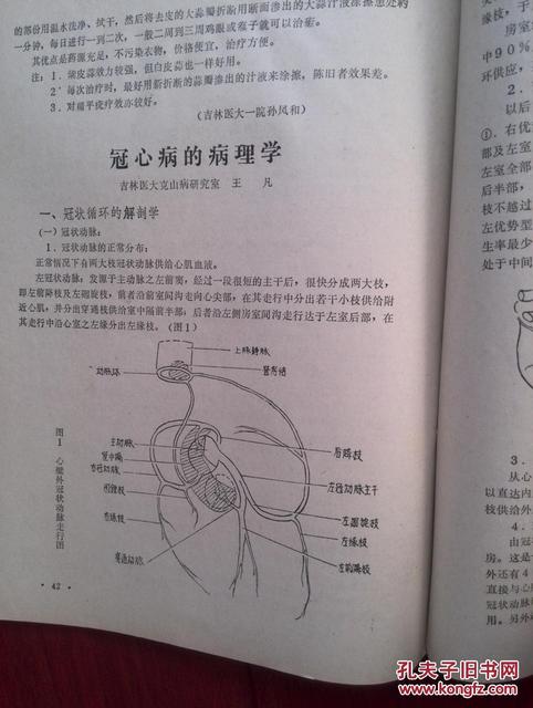 什么是小儿急性肾炎