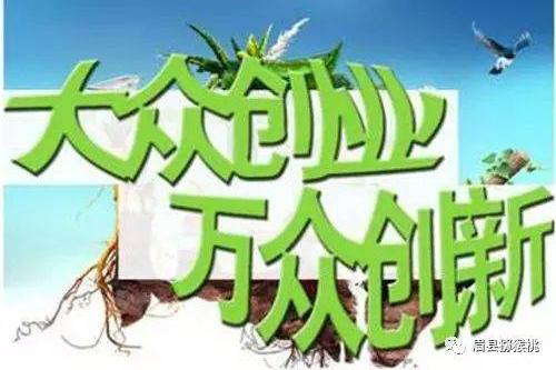 农业创业,找项目,一定要遵循这四个原则!