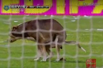 足球比赛时恶心想吐的长尾关键词有什么