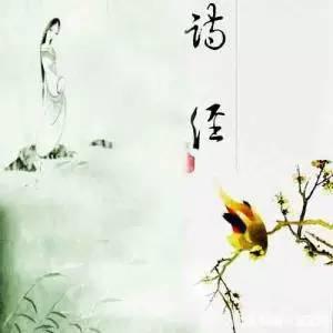 诗经中的万物生长